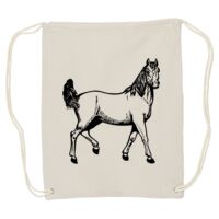 Canvas Drawstring Backpack Thumbnail