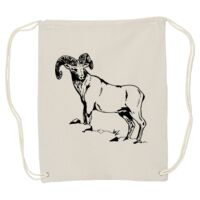 Canvas Drawstring Backpack Thumbnail