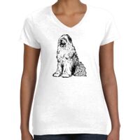 Women's Fine Jersey V-Neck Tee Thumbnail