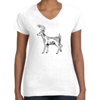 Women's Fine Jersey V-Neck Tee Thumbnail