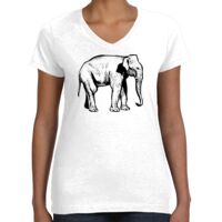 Women's Fine Jersey V-Neck Tee Thumbnail