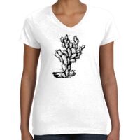 Women's Fine Jersey V-Neck Tee Thumbnail